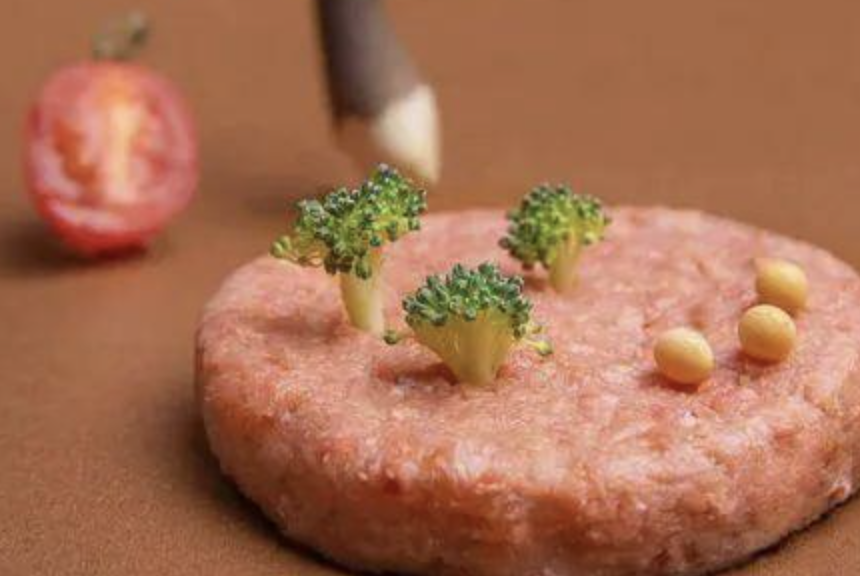 植物肉公司GoodDot